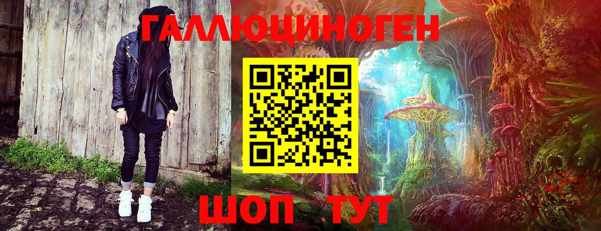 Шатура  Галлюциногенные грибы Cubensis  Вход с VPN 